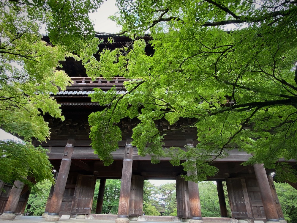 感じて・信じて・動く！新緑の京都・南禅寺ワークショップ