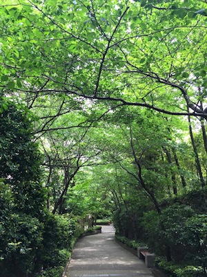 shiroyama